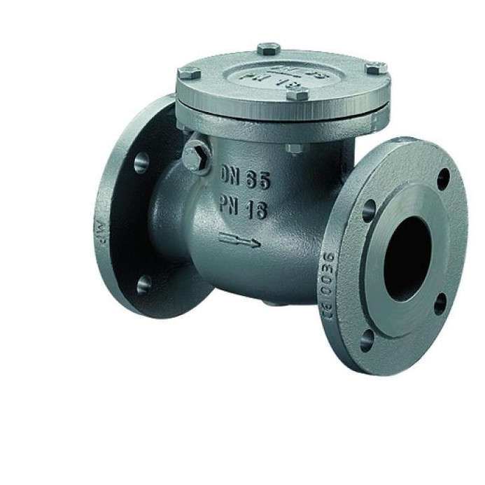 Bosch Installationszubehör RK16-50 Rückschlagklappe PN16 DN50 7736602665