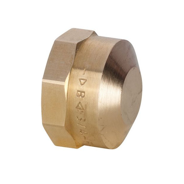 IBP Serie3000 Kappe 1-Zoll Rotguss Innengewinde DVGW 3301 008000000