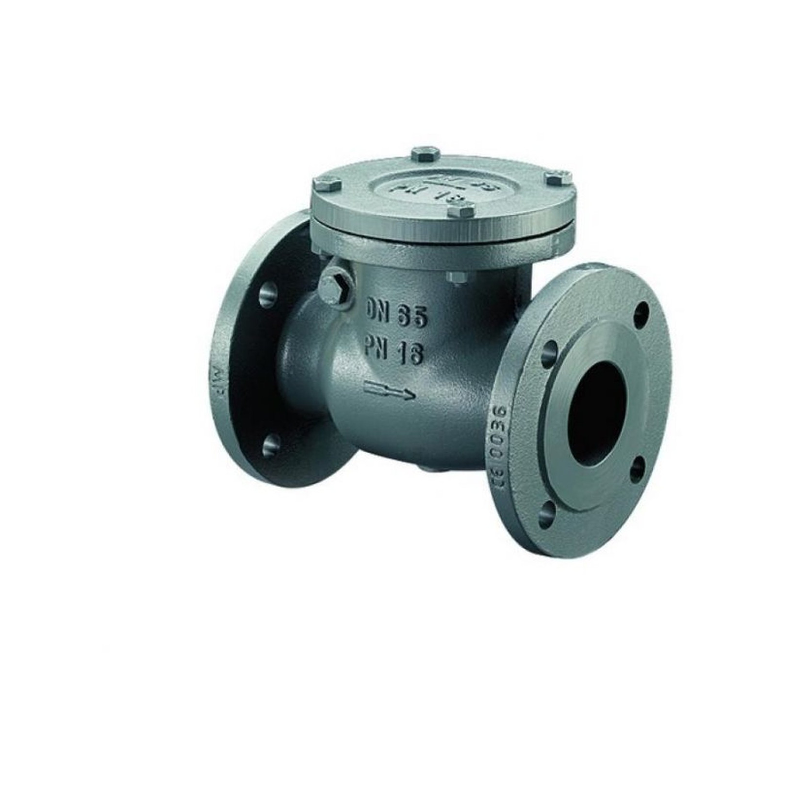 Bosch Installationszubehoer RK16-50 Rueckschlagklappe PN16 DN50 7736602665